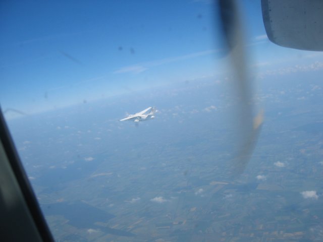 _9010.jpg