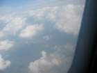 _9559_small.jpg