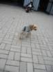 _9846_small.jpg