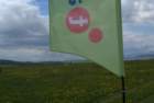 dsc02038_small.jpg