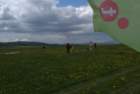 dsc02040_small.jpg