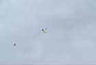 dsc02130_small.jpg