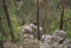 dsc02162_small.jpg