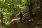 dsc02166_small.jpg