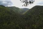 dsc02181_small.jpg