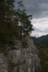 dsc02192_small.jpg