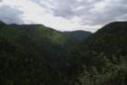 dsc02199_small.jpg