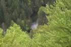 dsc02200_small.jpg