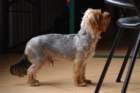 aj8_6541_small.jpg