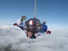 erd2086_small.jpg