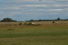 spadaki231sierpnia2008011_small.jpg