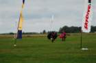 wrzesnia2008chrcynno1223_small.jpg