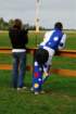 wrzesnia2008chrcynno1296_small.jpg