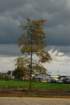 wrzesnia2008chrcynno2036_small.jpg