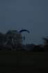 dsc_0003_small.jpg