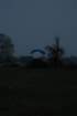 dsc_0004_small.jpg