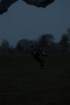 dsc_0008_small.jpg