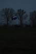 dsc_0024_small.jpg