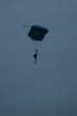 dsc_0037_small.jpg
