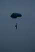 dsc_0040_small.jpg