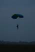 dsc_0041_small.jpg