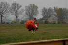 dsc_0090_small.jpg