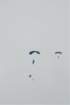 dsc_0132_small.jpg