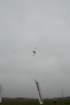 dsc_0134_small.jpg