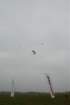 dsc_0135_small.jpg