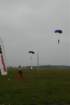dsc_0181_small.jpg