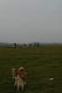 dsc_0191_small.jpg