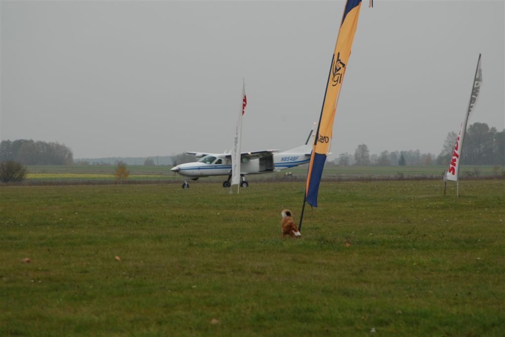 dsc_0229.jpg