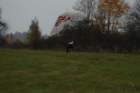 dsc_0389_small.jpg