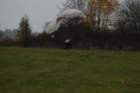 dsc_0390_small.jpg