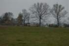 dsc_0415_small.jpg