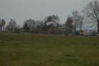 dsc_0417_small.jpg