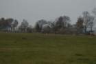 dsc_0419_small.jpg