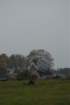 dsc_0486_small.jpg