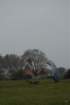 dsc_0487_small.jpg