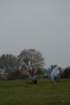 dsc_0488_small.jpg