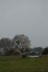 dsc_0490_small.jpg