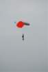 dsc_0515_small.jpg