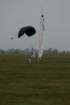 dsc_0526_small.jpg