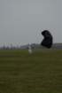 dsc_0529_small.jpg