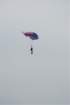 dsc_0530_small.jpg