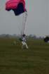 dsc_0563_small.jpg