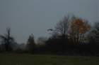 dsc_0830_small.jpg