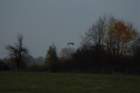 dsc_0831_small.jpg