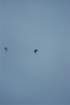 dsc_0002_small.jpg