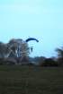 dsc_0003_small.jpg